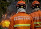 Homem é Detido por Incêndio em Parque Estadual no Pantanal de MT