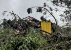 Alerta Vermelho: Tempestades e Granizo Atingem Região Sul do Brasil