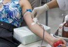 MT Hemocentro Convoca Doadores com Fator Rh Negativo para Reforçar Estoques