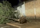Tempestade em Itaúba Causa Danos e Destruição