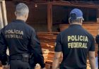 PF em Mato Grosso investiga comércio ilegal de madeira nativa e cumpre mandados em Goiás e MG