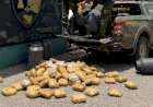 Polícia de Mato Grosso apreende 73 quilos de skunk em operação