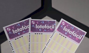 Lotofácil 3751: Minas Gerais Fatura Prêmio Principal e MS Tem Cinco Vencedores