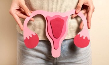 Câncer de ovário: o que está ao alcance da mulher diante de um tumor sem rastreamento