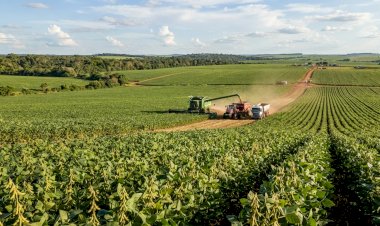 Soja terá custo de R$ 8,17 mil por hectare em Mato Grosso