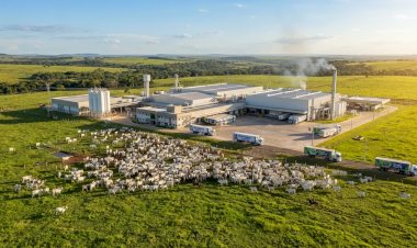 Mato Grosso se Destaca como Líder Nacional no Abate de Bovinos em 2026