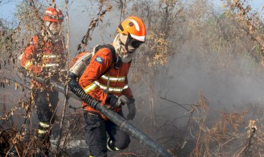 Mato Grosso Registra Redução de 60% nos Focos de Calor em 2026