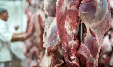 Porto de Chancay no Peru: Nova Rota Logística para Carne de Mato Grosso