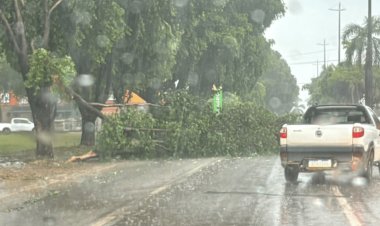 Temporal deixou 19 mil pontos de energia sem luz em Alta Floresta, diz prefeitura