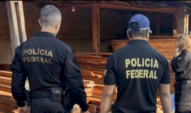 PF em Mato Grosso investiga comércio ilegal de madeira nativa e cumpre mandados em Goiás e MG