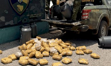 Polícia apreende 73 quilos de skunk escondidos em tambores de leite em Mato Grosso