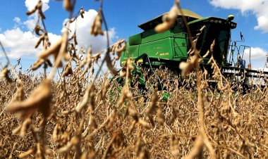 Imea aponta impacto da alta do diesel nos custos de produção e transporte da soja em Mato Grosso