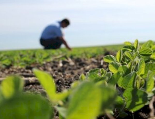 Prefeitura de Barra do Garças Promove Dia de Campo no Assentamento Serra Verde