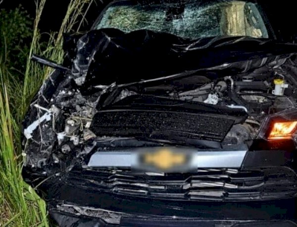 Cavalo é atropelado na MT-206 e passageiro sofre ferimentos leves
