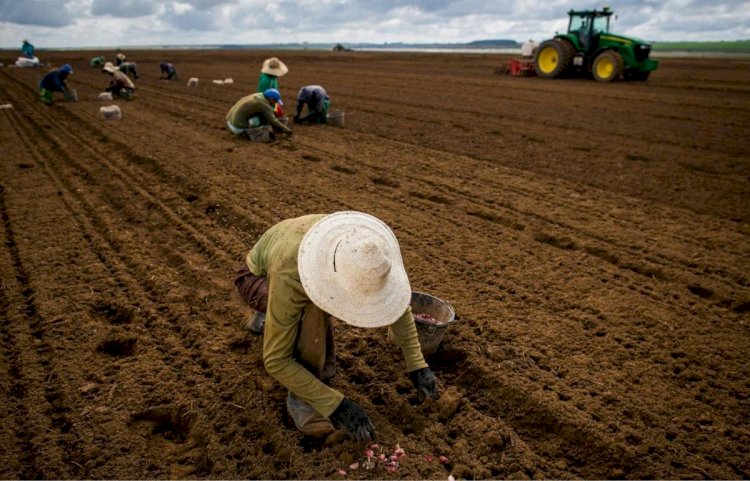 Atraso de R$ 141 Milhões no Seguro Rural Gera Insegurança Entre Produtores de Mato Grosso