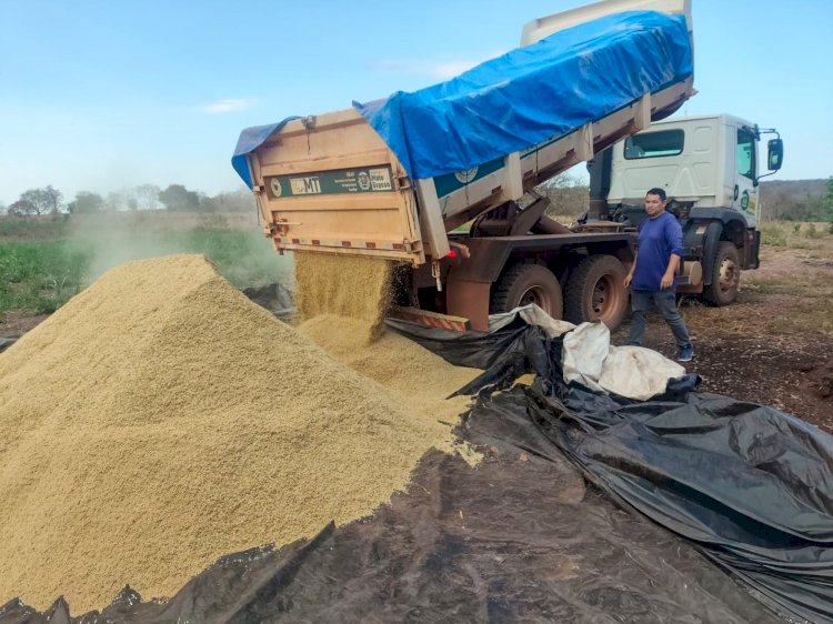 Prefeitura de Várzea Grande Fornece 3,6 Toneladas de Casquinha de Soja para Apoiar Produtores Durante a Estiagem