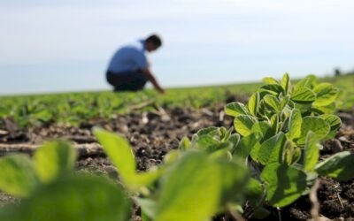 Prefeitura de Barra do Garças Promove Dia de Campo no Assentamento Serra Verde