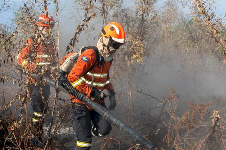 Mato Grosso Registra Redução de 60% nos Focos de Calor em 2026