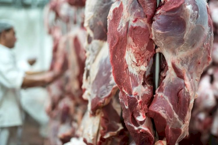 Porto de Chancay no Peru: Nova Rota Potencial para a Carne de Mato Grosso Rumo à Ásia