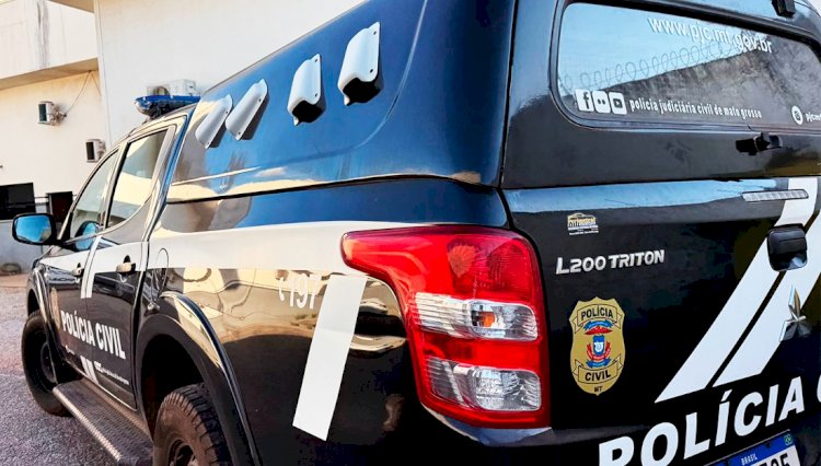 Denúncia de maus-tratos e danos em Sinop: vizinho arremessa pedras contra cachorro e residência