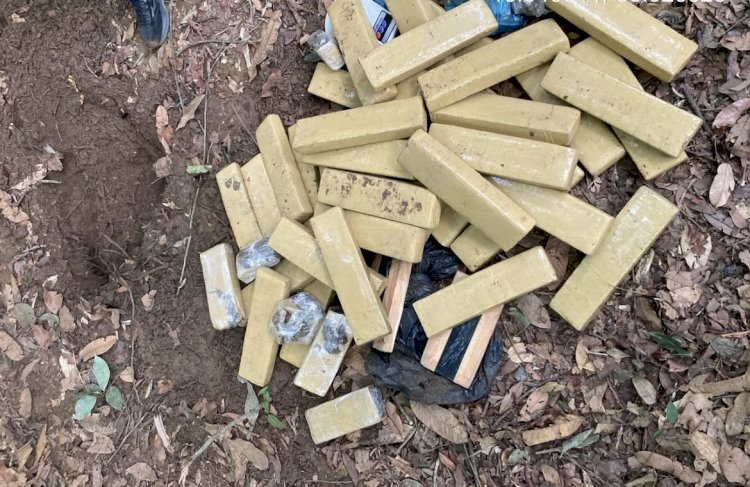 Polícia Civil de Lucas do Rio Verde Apreende 40 Quilos de Drogas em Operação