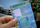 Programa SER Família CNH Social recebe mais de 18 mil inscrições no primeiro dia