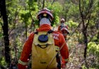 Dino estabelece orçamento de emergência para combate a incêndios