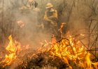Brasil teve 11,39 milhões de hectares atingidos pelo fogo este ano