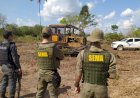 MT desmata 170 mil hectares ilegalmente em menos de um ano, aponta estudo