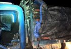 Caminhoneiro é preso por transportar carga ilegal de pau-brasil na região do Araguaia