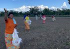 BNDES lança edital de R$ 10 milhões para restaurar florestas em terras indígenas de MT, TO e MA; Araguaia-Xingu pode ser contemplada