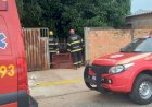 Onça-parda é resgatada por bombeiros em lavanderia de residência em Nova Xavantina