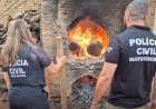 Polícia Civil incinera 50 quilos de drogas em Barra do Garças