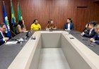 Investidores chineses avaliam instalar usina para transformar lixo em energia em Mato Grosso