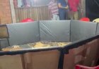 Forças de segurança desarticulam a maior rinha clandestina do Vale do Araguaia e prendem 21 pessoas
