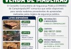 CONSEG de Campinápolis disponibiliza lotes de madeiras apreendidas para venda