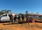 Operação integrada apreende cerca de 500 quilos de maconha em Mato Grosso