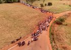Cavalgada Outubro Rosa reúne mulheres em Campinápolis e reforça conscientização sobre o câncer de mama