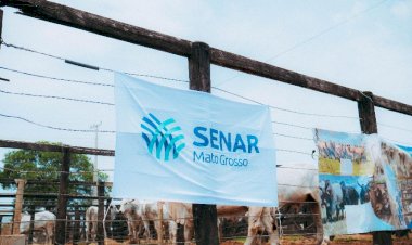 3ª Feira Pró-Genética realizada em Campinápolis foi um sucesso