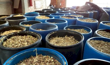 Sicredi neutraliza emissões de carbono de 2023 e 2024