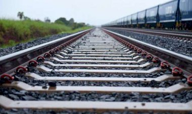 Governo de MT apresenta potencial agrícola a delegação chinesa em reunião sobre Ferrovia Bioceânica