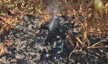 Corpo carbonizado é localizado em estrada vicinal em Confresa