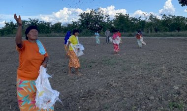BNDES lança edital de R$ 10 milhões para restaurar florestas em terras indígenas de MT, TO e MA; Araguaia-Xingu pode ser contemplada
