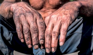 Dois empregadores de Nova Xavantina são incluídos na 'lista suja' do trabalho escravo