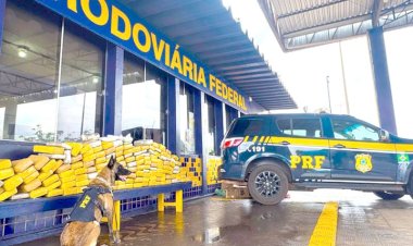 Cão farejador da PRF encontra mais de 160 kg de drogas durante fiscalização em MT
