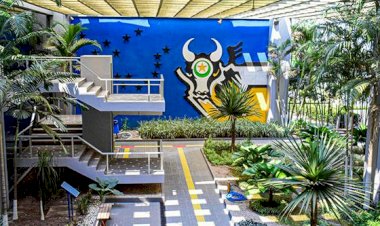 Governo de MT vai mostrar como aliar produção de alimentos e preservação ambiental na COP 30