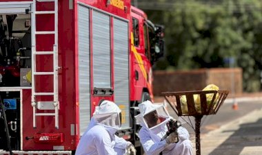 Corpo de Bombeiros Militar de Água Boa ultrapassa a marca de mil atendimentos em 4 meses