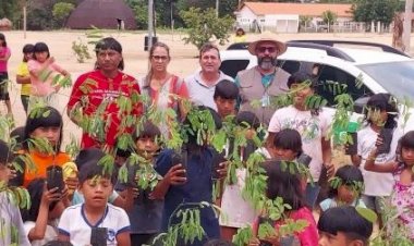 Ação ambiental leva 600 mudas nativas às aldeias Xavantes