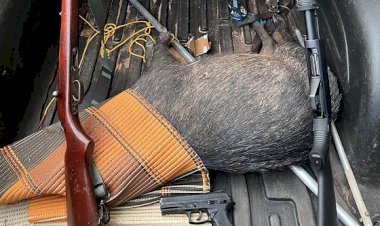 Três homens são presos em distrito de Barra do Garças por caça ilegal de porco-do-mato