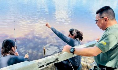 Seguro-defeso: pescadores precisam enviar REAP pelo PesqBrasil até esta quarta-feira (31)